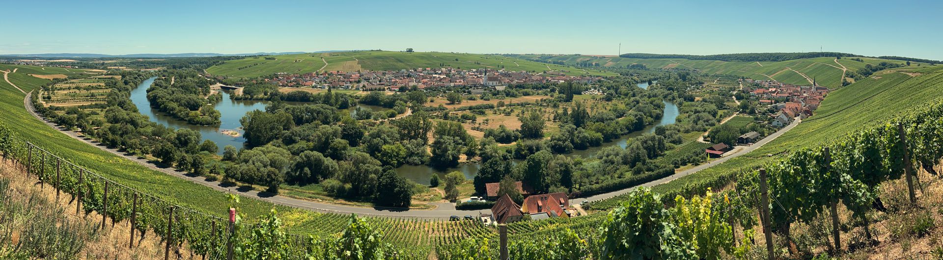 Panoramablick auf Volkach und die Mainschleife – beliebtes Ausflugsziel in Franken