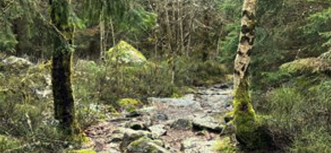 Wanderwege und familienfreundliche Ausflugsziele im Fichtelgebirge